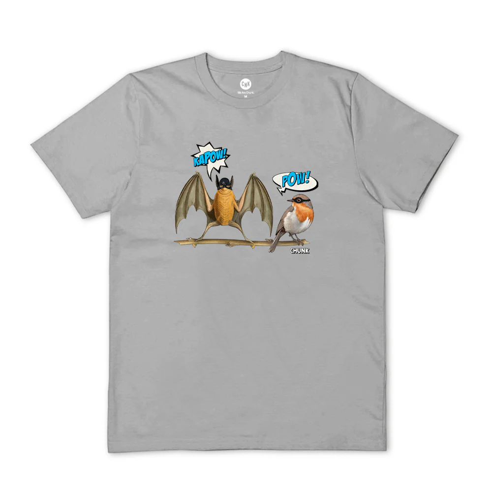 Bat And Robin Light Grey T-Shirt