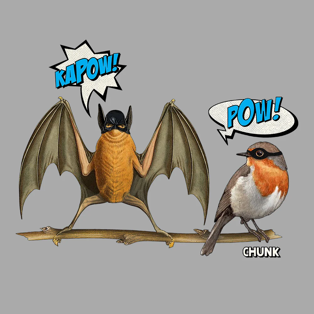 Bat And Robin Light Grey T-Shirt - Image 3