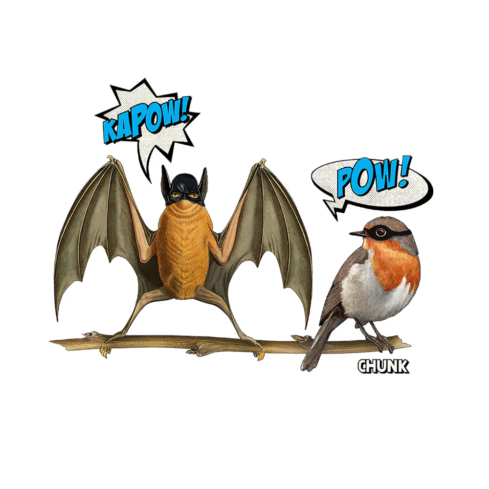 Bat & Robin White T-Shirt - Image 2